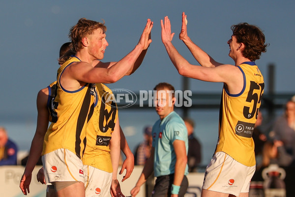 VFL 2025 Round 14 - Williamstown v Sandringham - A-60275536