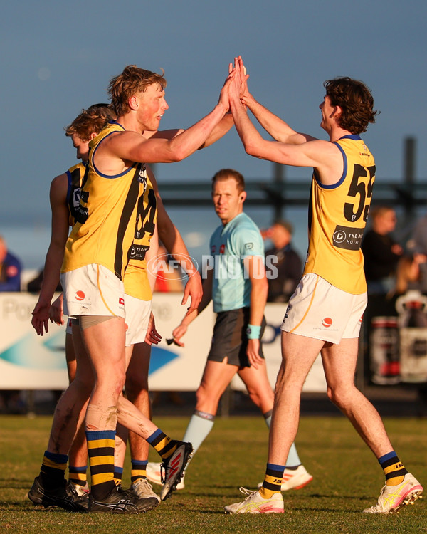 VFL 2025 Round 14 - Williamstown v Sandringham - A-60275538