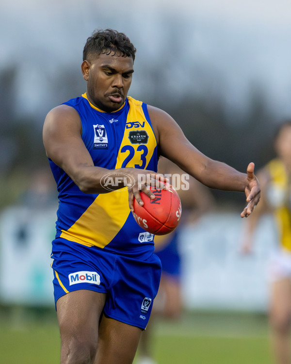 VFL 2025 Round 14 - Williamstown v Sandringham - A-60275540