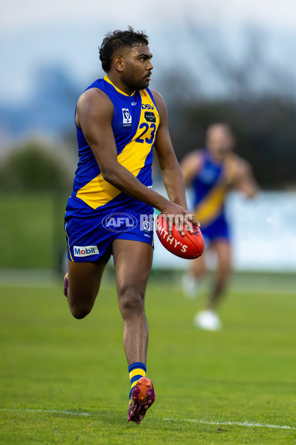VFL 2025 Round 14 - Williamstown v Sandringham - A-60275541