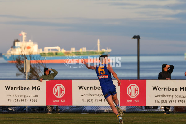 VFL 2025 Round 14 - Williamstown v Sandringham - A-60275547
