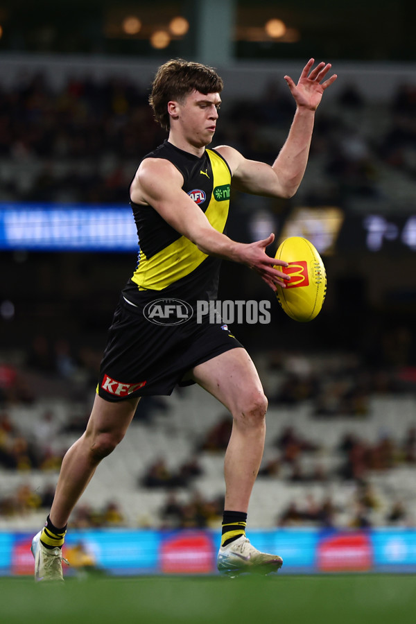 AFL 2025 Round 16 - Richmond v Adelaide - A-60291487