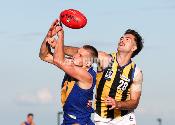 VFL 2025 Round 14 - Williamstown v Sandringham - A-60303564