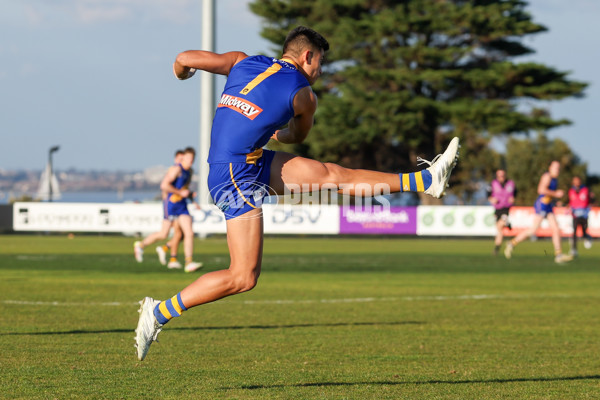 VFL 2025 Round 14 - Williamstown v Sandringham - A-60304541