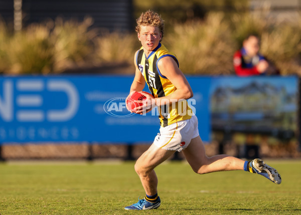 VFL 2025 Round 14 - Williamstown v Sandringham - A-60304543
