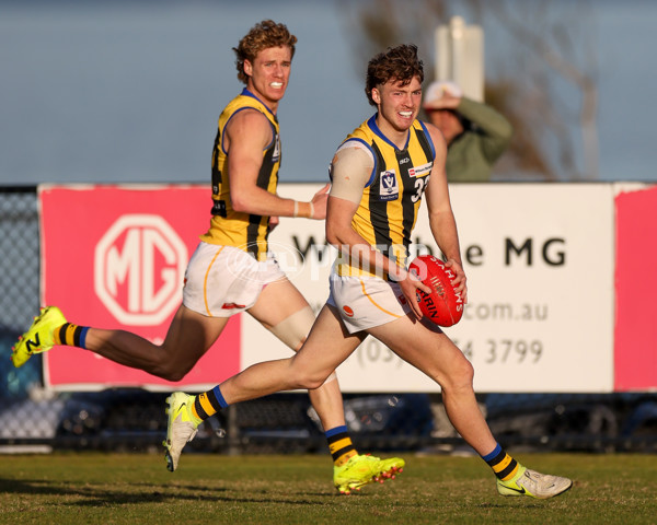VFL 2025 Round 14 - Williamstown v Sandringham - A-60304546