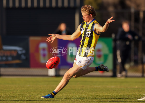 VFL 2025 Round 14 - Williamstown v Sandringham - A-60304566