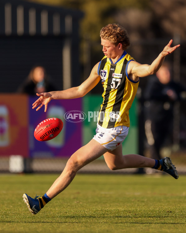 VFL 2025 Round 14 - Williamstown v Sandringham - A-60304568