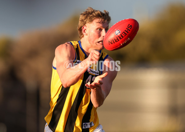 VFL 2025 Round 14 - Williamstown v Sandringham - A-60304569