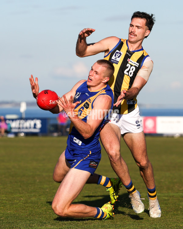 VFL 2025 Round 14 - Williamstown v Sandringham - A-60304570