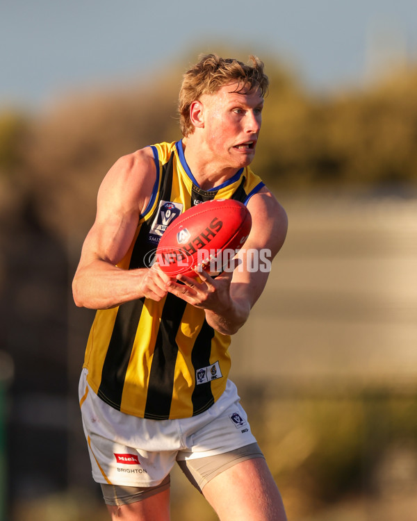 VFL 2025 Round 14 - Williamstown v Sandringham - A-60306013