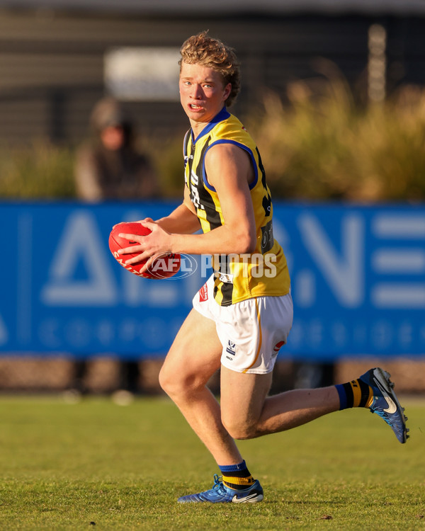 VFL 2025 Round 14 - Williamstown v Sandringham - A-60306014