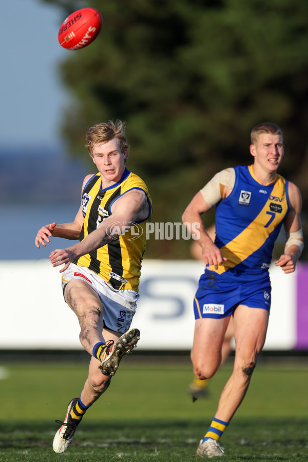VFL 2025 Round 14 - Williamstown v Sandringham - A-60306016