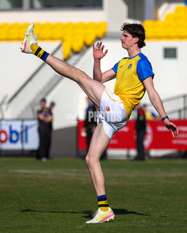 VFL 2025 Round 14 - Williamstown v Sandringham - A-60306023