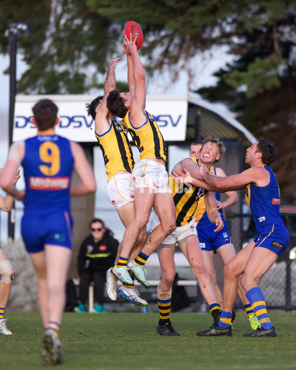 VFL 2025 Round 14 - Williamstown v Sandringham - A-60306026