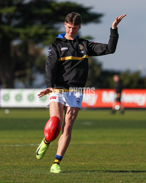 VFL 2025 Round 14 - Williamstown v Sandringham - A-60306040