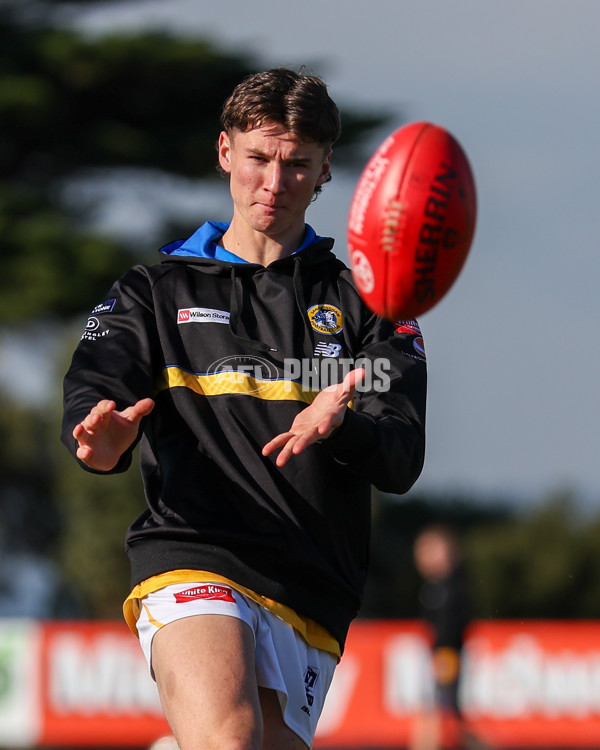 VFL 2025 Round 14 - Williamstown v Sandringham - A-60306043