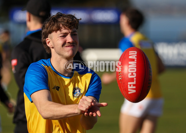 VFL 2025 Round 14 - Williamstown v Sandringham - A-60306049