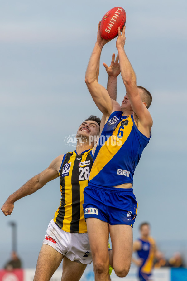 VFL 2025 Round 14 - Williamstown v Sandringham - A-60306057