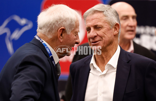 AFL 2025 Round 17 - North Melbourne v Western Bulldogs - A-60333047