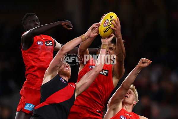 AFL 2025 Round 17 - Essendon v Gold Coast - A-60374177