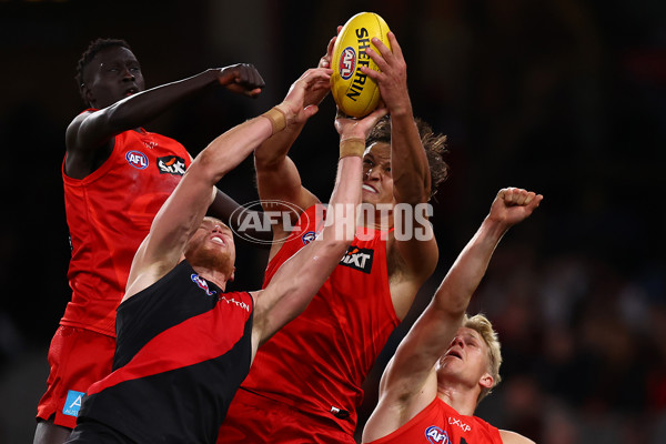 AFL 2025 Round 17 - Essendon v Gold Coast - A-60374179