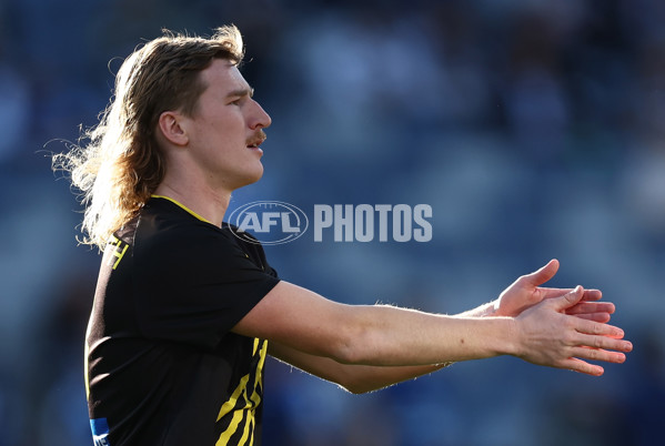 AFL 2025 Round 17 - Geelong v Richmond - A-60377349