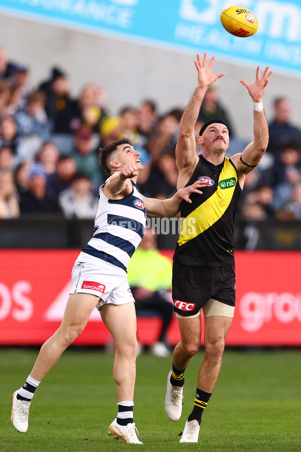 AFL 2025 Round 17 - Geelong v Richmond - A-60378262
