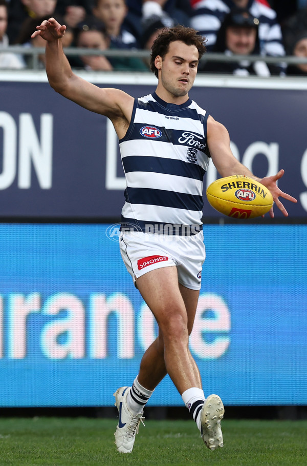 AFL 2025 Round 17 - Geelong v Richmond - A-60378267