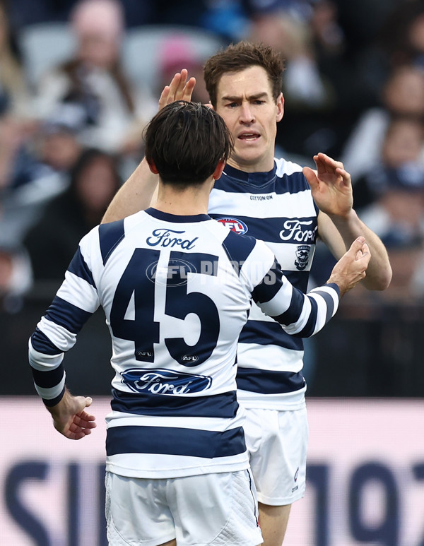 AFL 2025 Round 17 - Geelong v Richmond - A-60379868