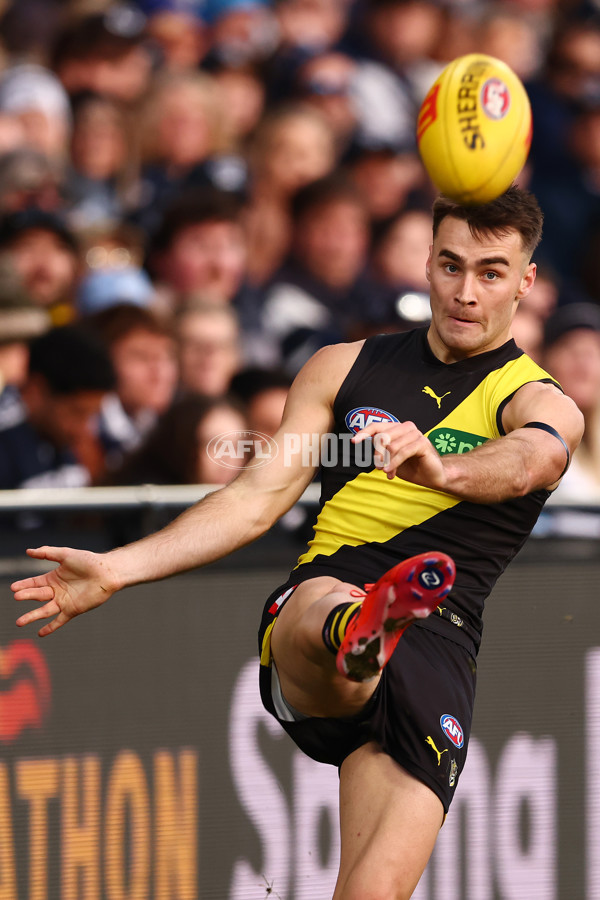 AFL 2025 Round 17 - Geelong v Richmond - A-60379881