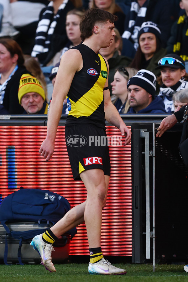 AFL 2025 Round 17 - Geelong v Richmond - A-60379885