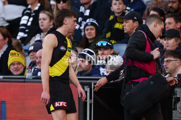 AFL 2025 Round 17 - Geelong v Richmond - A-60379887