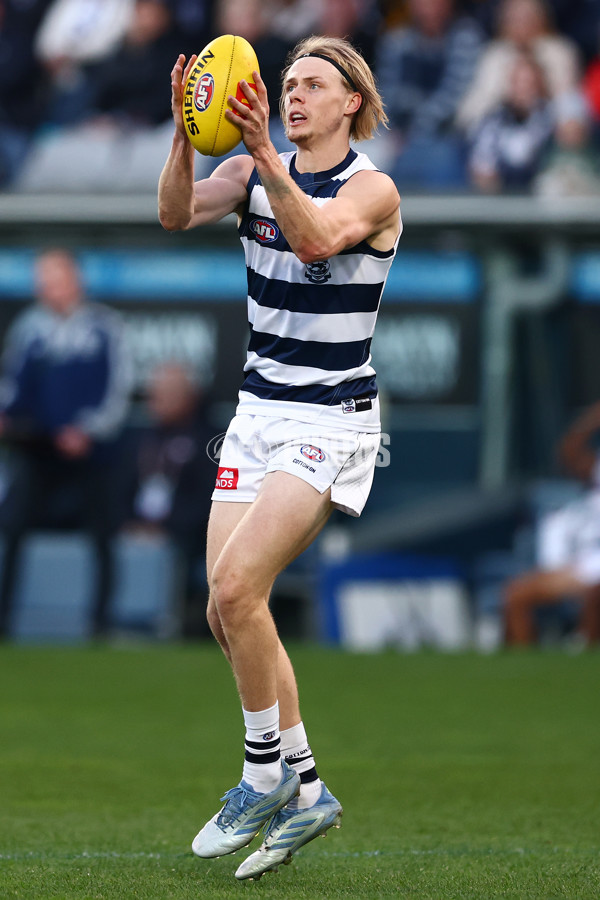 AFL 2025 Round 17 - Geelong v Richmond - A-60379910