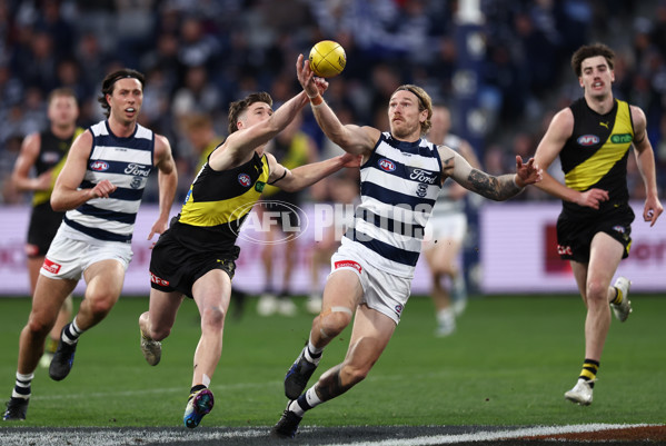 AFL 2025 Round 17 - Geelong v Richmond - A-60381369