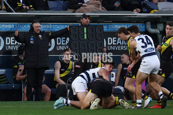 AFL 2025 Round 17 - Geelong v Richmond - A-60381409