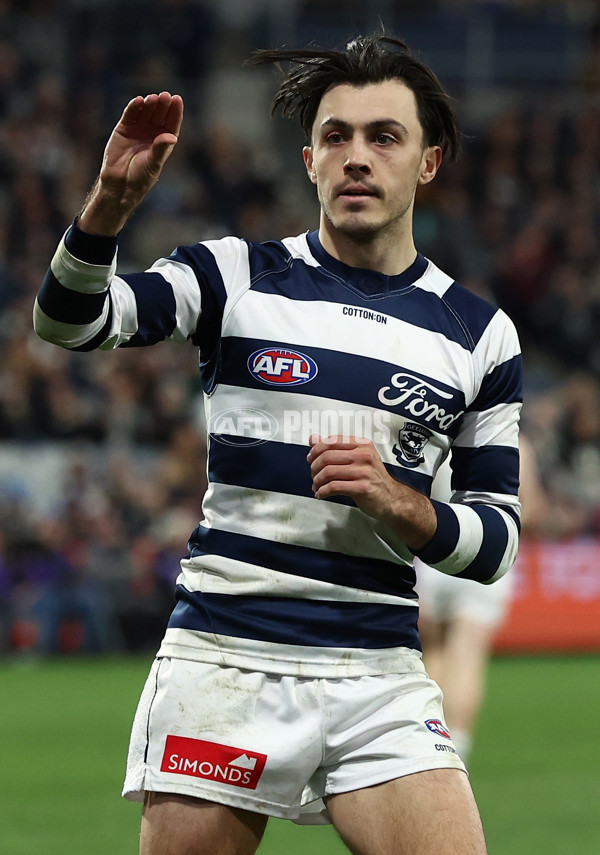 AFL 2025 Round 17 - Geelong v Richmond - A-60384176