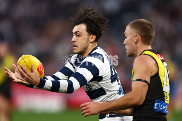 AFL 2025 Round 17 - Geelong v Richmond - A-60384217