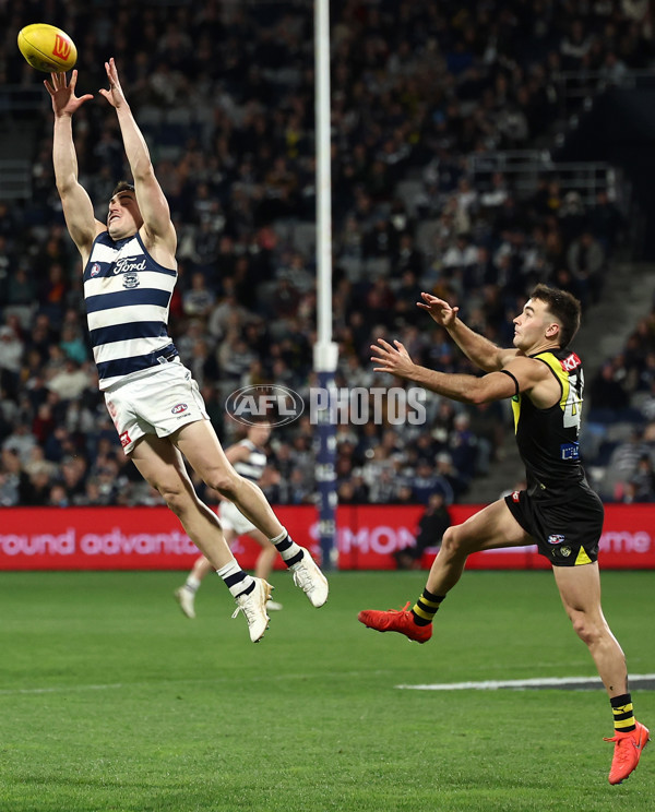 AFL 2025 Round 17 - Geelong v Richmond - A-60384755