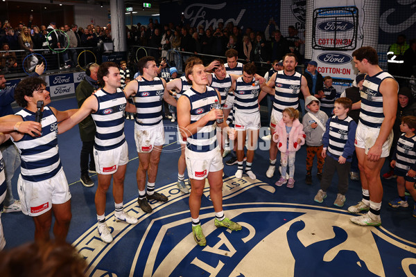 AFL 2025 Round 17 - Geelong v Richmond - A-60389525