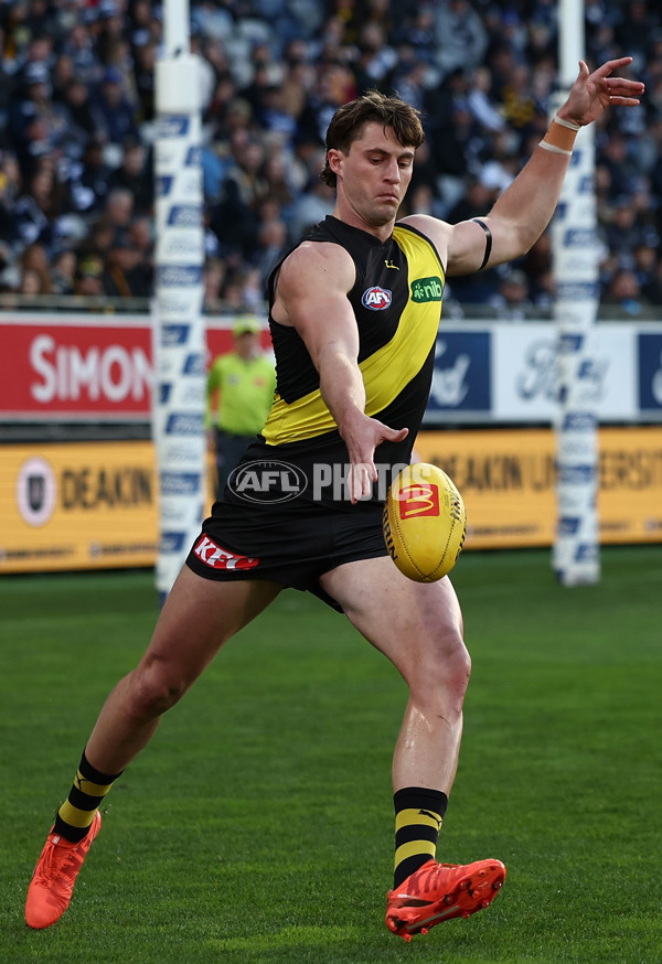AFL 2025 Round 17 - Geelong v Richmond - A-60389650