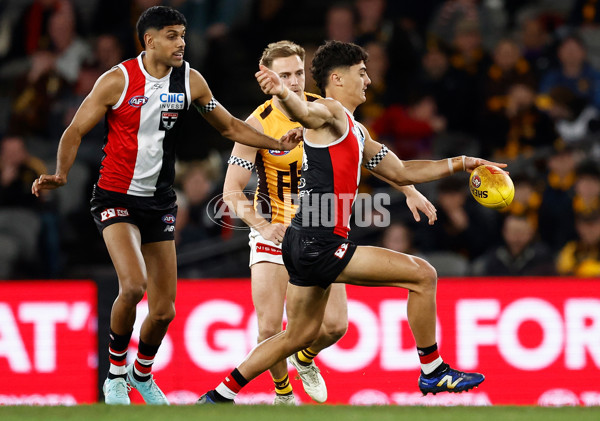 AFL 2025 Round 17 - St Kilda v Hawthorn - A-60392376