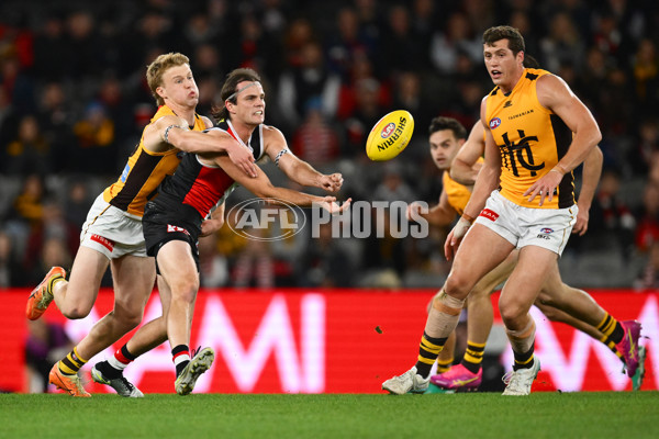 AFL 2025 Round 17 - St Kilda v Hawthorn - A-60392425