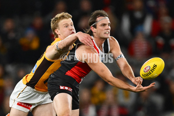 AFL 2025 Round 17 - St Kilda v Hawthorn - A-60392426