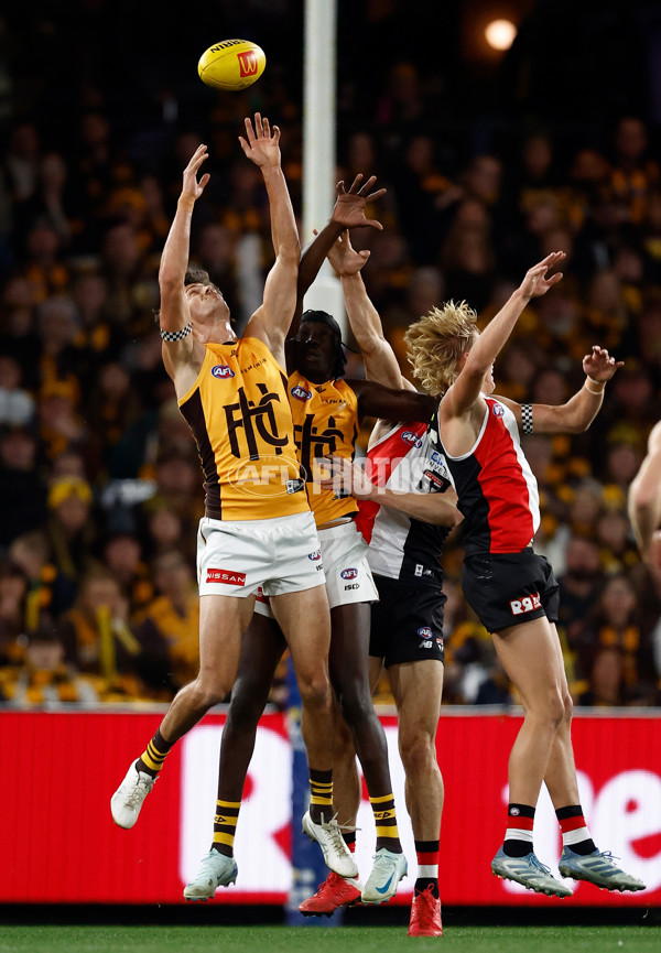 AFL 2025 Round 17 - St Kilda v Hawthorn - A-60392699