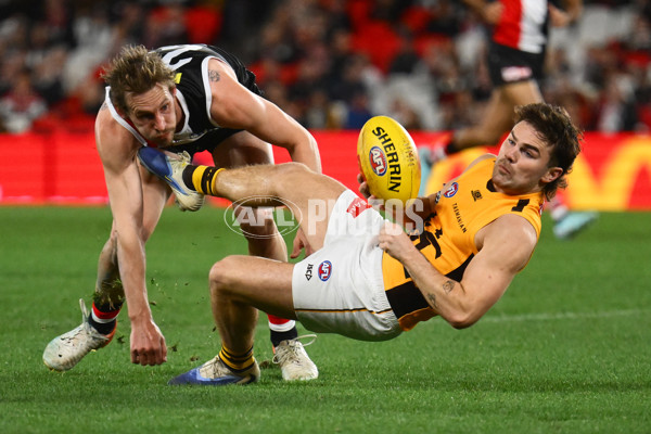 AFL 2025 Round 17 - St Kilda v Hawthorn - A-60392717
