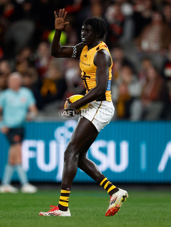 AFL 2025 Round 17 - St Kilda v Hawthorn - A-60392720