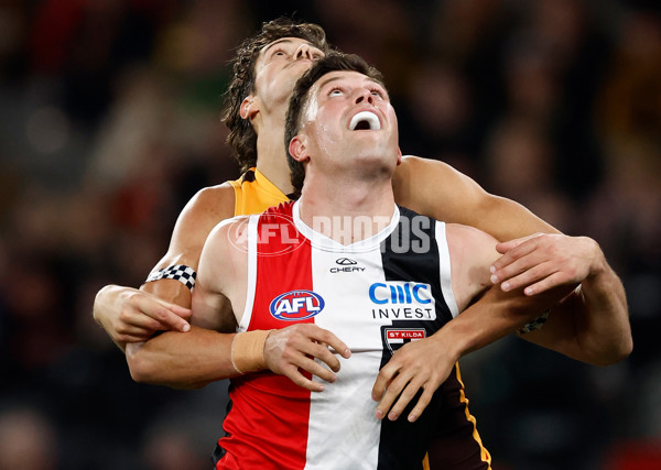 AFL 2025 Round 17 - St Kilda v Hawthorn - A-60394589