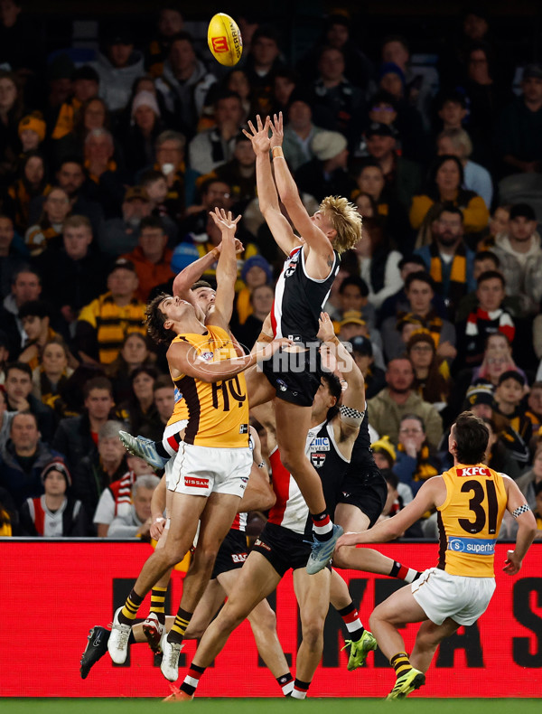 AFL 2025 Round 17 - St Kilda v Hawthorn - A-60394638