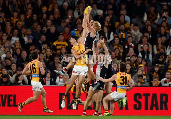 AFL 2025 Round 17 - St Kilda v Hawthorn - A-60394639